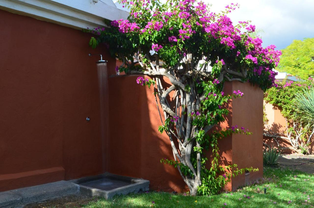 The Peaches Bungalows 45 & 46 Μασπαλόμας Εξωτερικό φωτογραφία